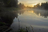 Красивое утро