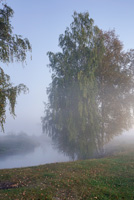 foggymorning