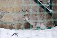 Латвия, Рига